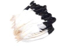 1 LB Left or Right Wing Imitation Eagle Turkey Quill Feathers Apx.300 Craft Feathers