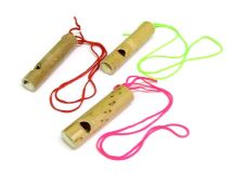 Bamboo 2 1/4" Whistle on 20" Neck Cord