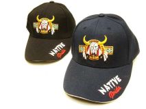 Baseball Hat Embroidered Native Pride and Buffalo Skull Hat 04
