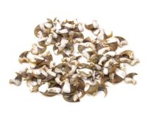 Bobcat Claws Apx. 1/2" to 3/4" in Sizes Semi Cleaned