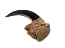 Synthetic Eagle Claw 1 3/4" Pendant