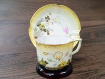 G Y  Japonica Elegant Hand Painted Bone China Teacup Saucer Set 1879 Era