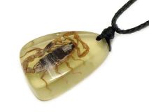 Scorpion Glow In Dark Necklace
