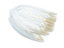 1/2 LB White Turkey Quill Feathers Apx.150 Craft Feathers
