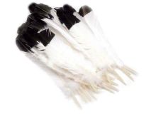 1/2 LB Imitation Eagle Turkey Quill Feathers Apx.150 Craft Feathers