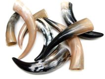 11" to 16" Polished Water Buffalo Cow Horn Create a Powder Horn