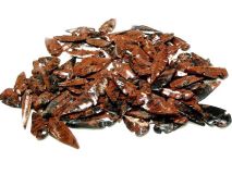 Knapped Mahogany Obsidian Glass Arrowhead Points Lot of 100 Craft Grade