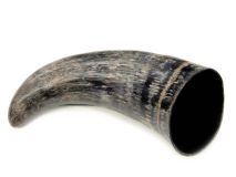 Natural Semi Polished Water Buffalo Cow Horn 13"L #R07 Jumbo 4" Bell