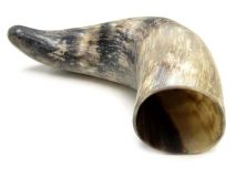 Natural Semi Polished WB Cow Horn Create Powder Horn 12" L #R03