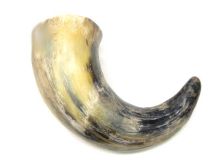 Natural Water Buffalo Cow Horn 13" L #R04 Large 3" Bell