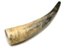 Natural Semi Polished Water Buffalo Cow Horn 14" L #R16