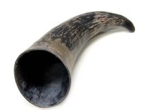Natural Water Buffalo Cow Horn 13"L #R22 Large 3" Bell