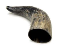 Natural Semi Polished Water Buffalo Cow Horn 12-1/4"L #R23 Big 3-1/4" Bell  