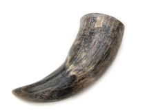 Natural Water Buffalo Cow Horn 10-3/4" L#R26 Rough/Flaky Surface 