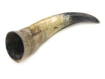 Natural Semi Polished Water Buffalo Cow Horn 12" L #R28  Gouge in Surface