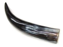Polished WB Cow Horn 13-1/4"L #50 Blistered