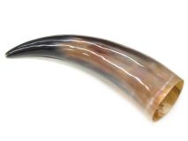 Polished Water Buffalo Cow Horn 13-3/4" #20 Jumbo 3-1/4" Bell Delamination