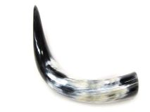 Polished Water Buffalo Cow Horn 12-3/4" L #44 Flat Style