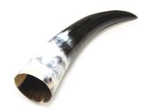 Polished Water Buffalo Cow Horn 9-3/4" L #G