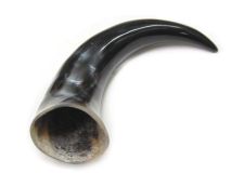 Polished Water Buffalo Cow Horn 12-1/4" L #37