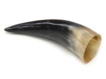 Polished Water Buffalo Steer Cow Horn 9" L #F