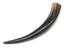 Polished Water Buffalo Cow Horn 14-3/8" L #43