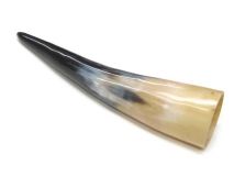 Polished Steer Cow Horn 12-1/8"L #59