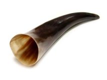 Polished Water Buffalo Cow Horn 10-1/4" L #05