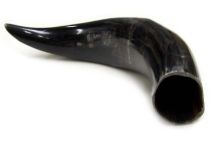 Polished Water Buffalo Cow Horn 11-1/4" L #07