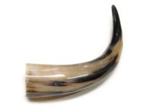 Polished Water Buffalo Cow Horn 13-3/4"L #14 Delamination