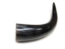 Polished Water Buffalo Cow Horn 12"L #51