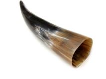Polished Water Buffalo Cow Horn 8-3/4"L #J
