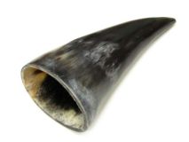Polished Water Buffalo Cow Horn 7-3/4" L #C Flat Style