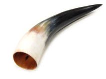 Polished Water Buffalo Cow Horn 10" L #E