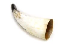 Polished Water Buffalo Cow Horn  8-3/4" L #T Delaminaiton