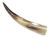 Polished Water Buffalo Cow Horn 12-3/4"L #16