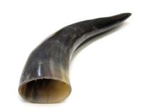 Polished Water Buffalo Cow Horn 14-1/4"L #25 Flat Style with Curve