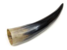Polished Water Buffalo Cow Horn 12-3/8"L #31
