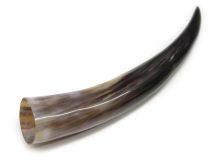 #33 Polished Water Buffalo Cow Horn Create a Powder Horn 14-1/8"L 
