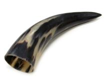 Polished Water Buffalo Cow Horn 15"L #35 Jumbo 3-1/8" Bell Delamination Inside