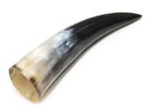 Polished Water Buffalo Cow Horn 10-3/4"L #38