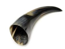 Polished Steer Cow Horn 11-1/4"L #48