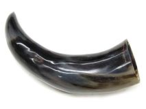 Polished Water Buffalo Cow Horn 12" L #79  Divots / Demanination