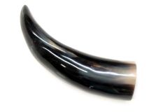 Polished Water Buffalo Cow Horn 10-3/8" L #01 Delaminaton on Bell Edge