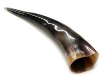 Polished Water Buffalo Cow Horn 12-1/2"L #38 Warped Bell Opening