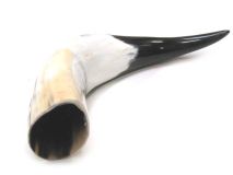 Polished WB Cow Horn 11-3/4"L #58