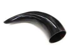 Polished Water Buffalo Cow Horn 11-1/4" L #49