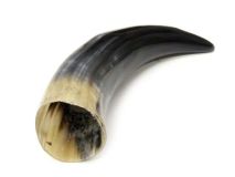 Polished Water Buffalo Cow Horn 11-1/2"L #64