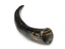 Polished WB Cow Horn 12-3/4"L #73