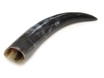 Polished WB Cow Horn 14" L #74